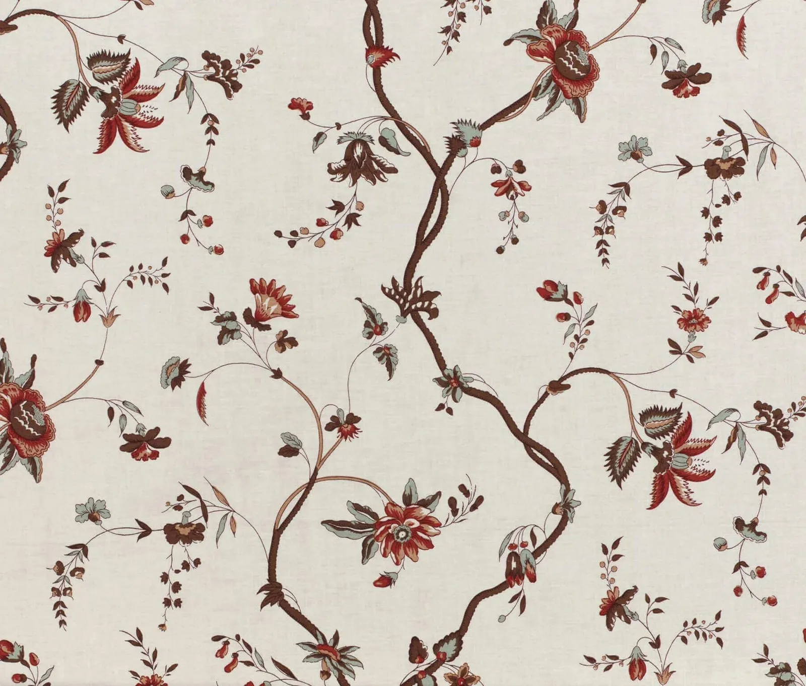 L'eglantier Multicolore