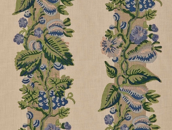 Namay Samay, Jongli Cornflower