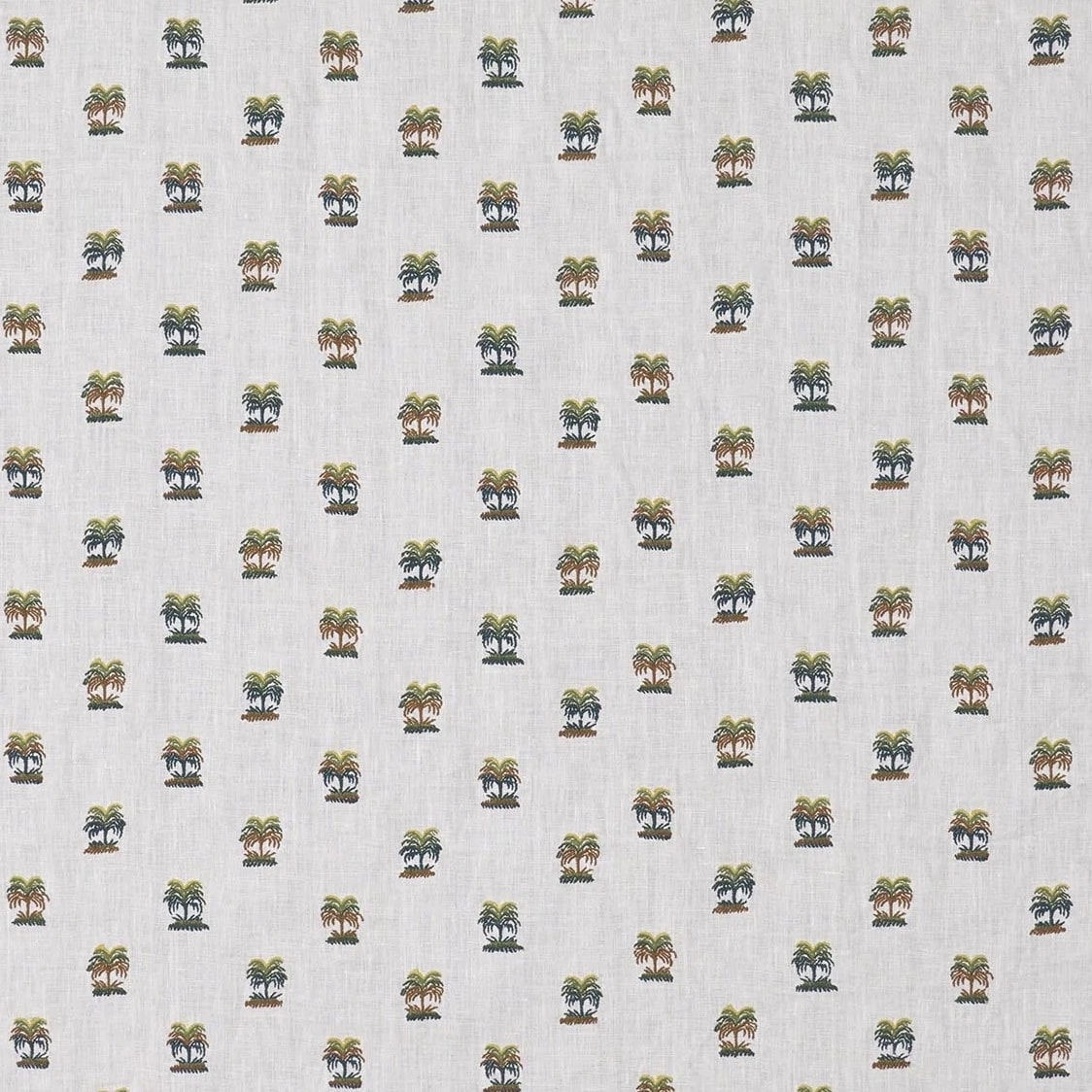 Les Palmiers De Comoglio Palmeraie