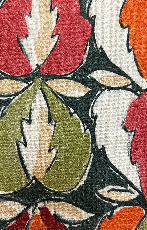 Heart Of Oak Evergreen