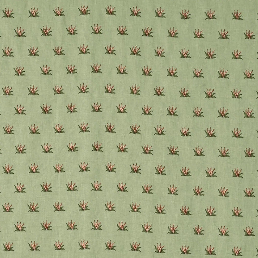 Coulonges Contrefond Amandine