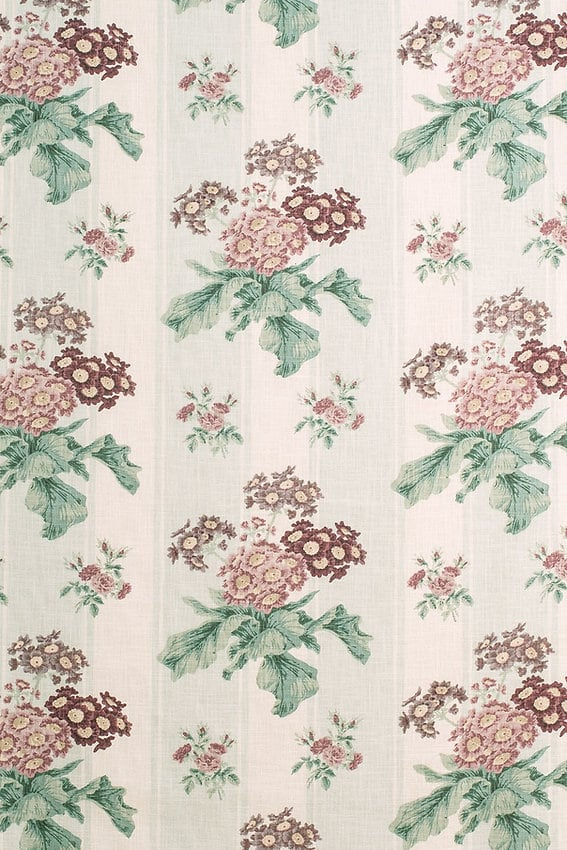 Auricula Duck Egg Stripe