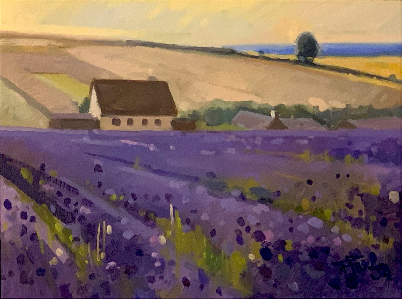 Anthony Bridge, Cotswold Lavender