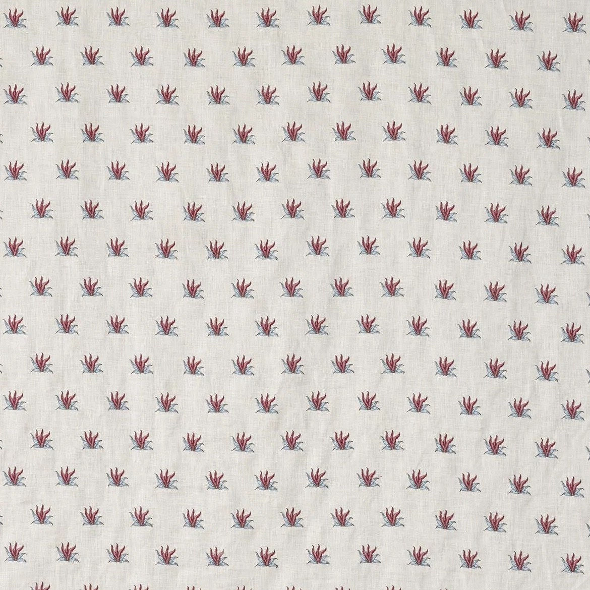 Coulonges Contrefond Hortensia