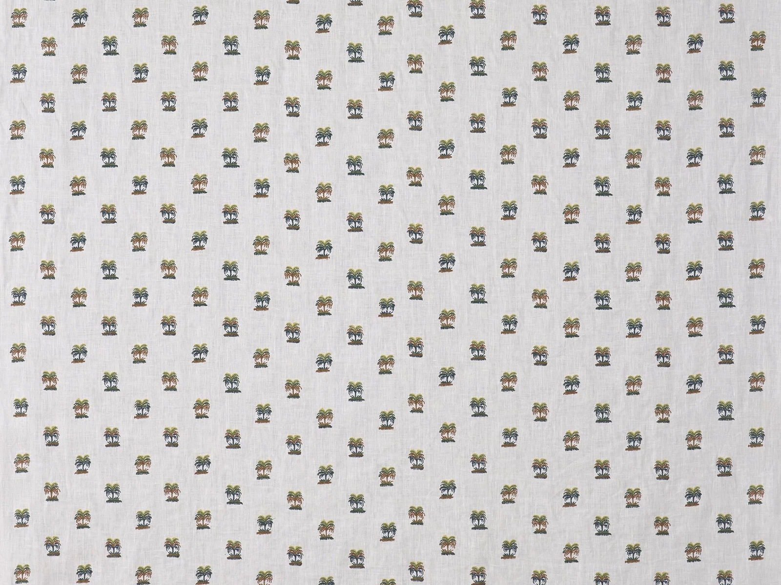 Les Palmiers De Comoglio Palmeraie