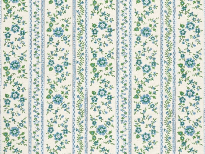 Rampacanti Meconopsis