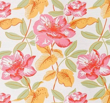 Magnolia Pink Orange On Oyster