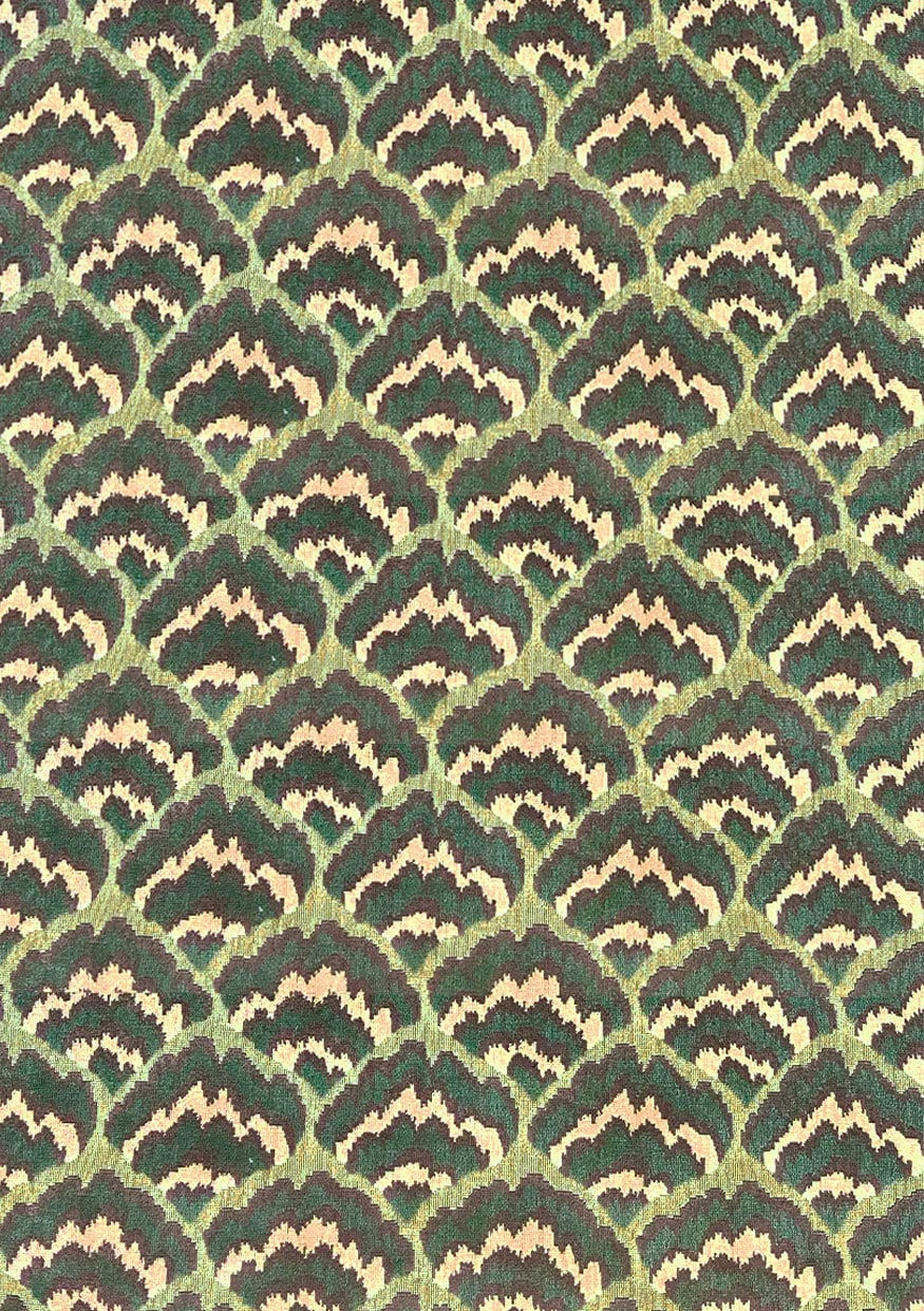 Lions Paw Suger Kelp