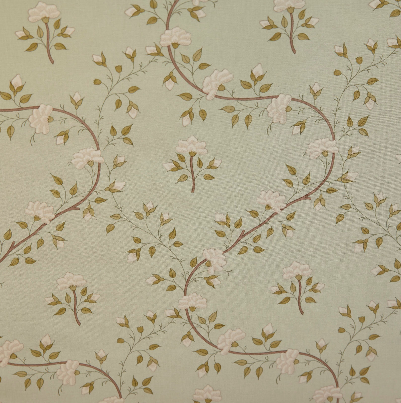 Antoinette Eau de Nil