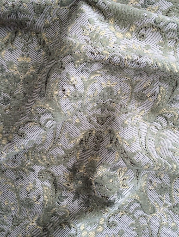 Venice Alpine Crocus