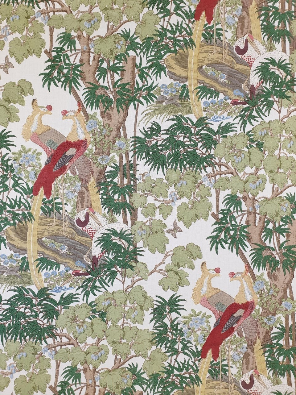 Oriental Pheasants Multi