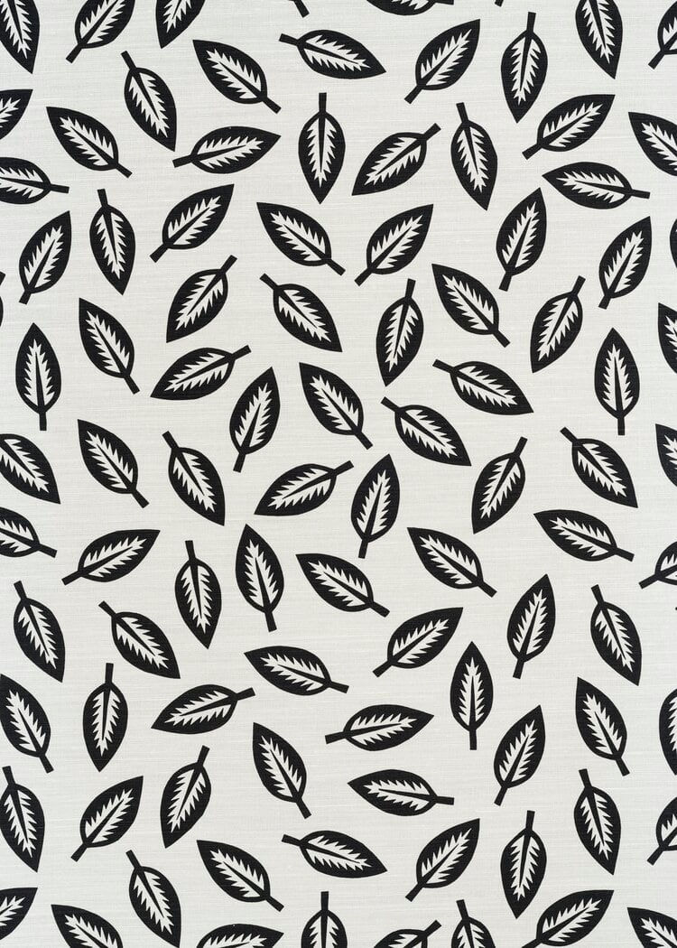 Leaf Cutter Charcoal On Oyster