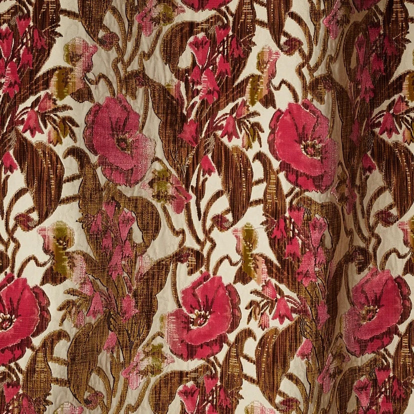 Campanula Truffle Rose