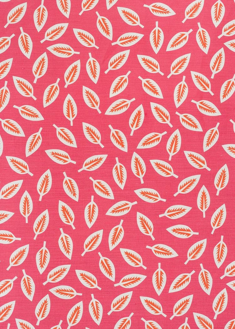 Leaf Cutter Reverse Pink Orange On Oyster