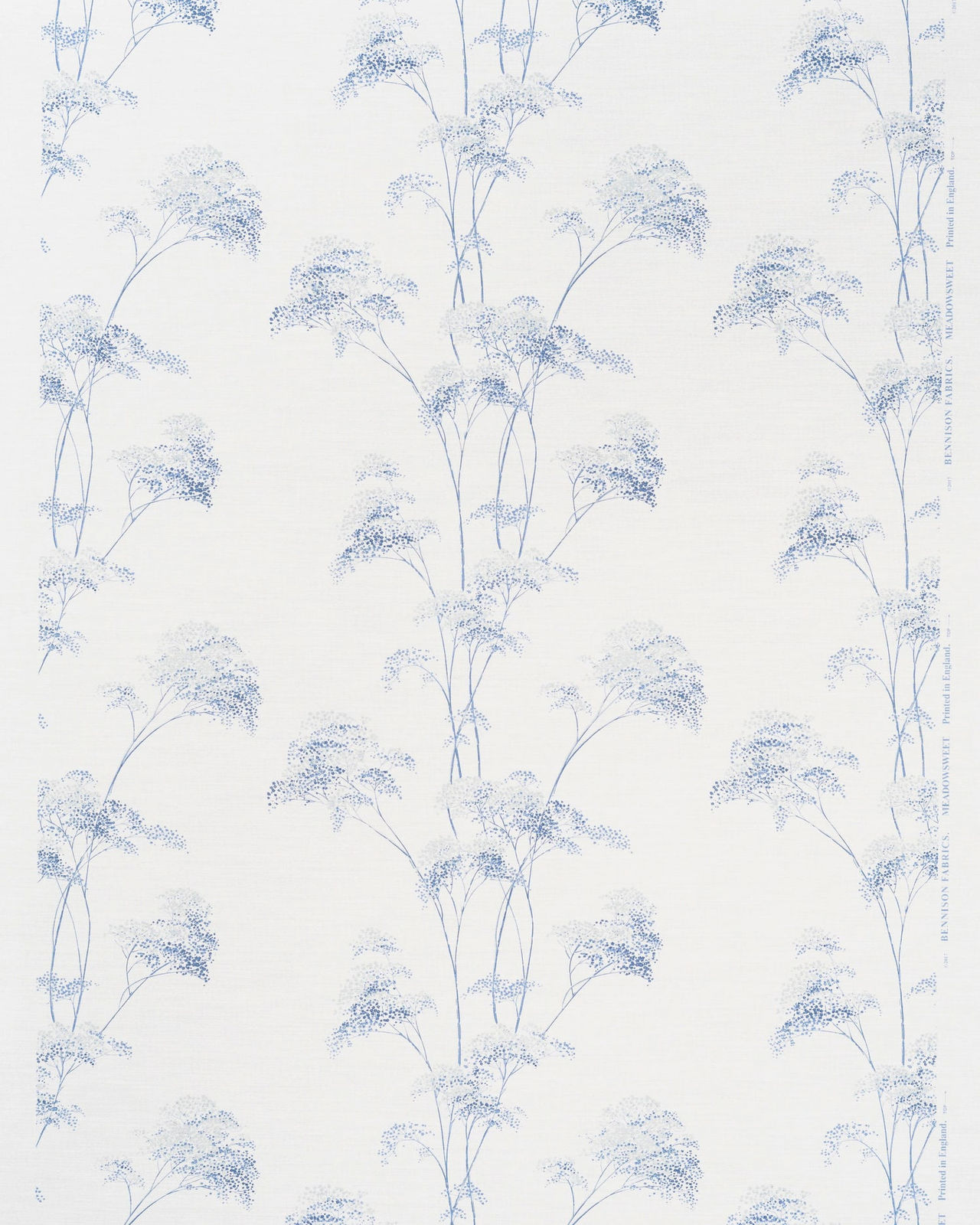 Meadowsweet Blues On Oyster