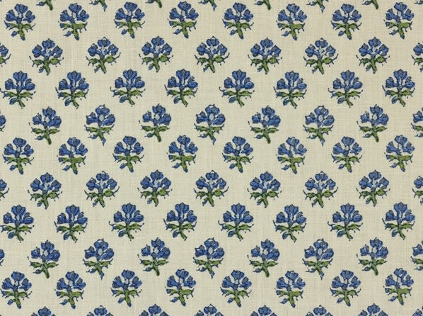 Namay Samay, Janavi Ming