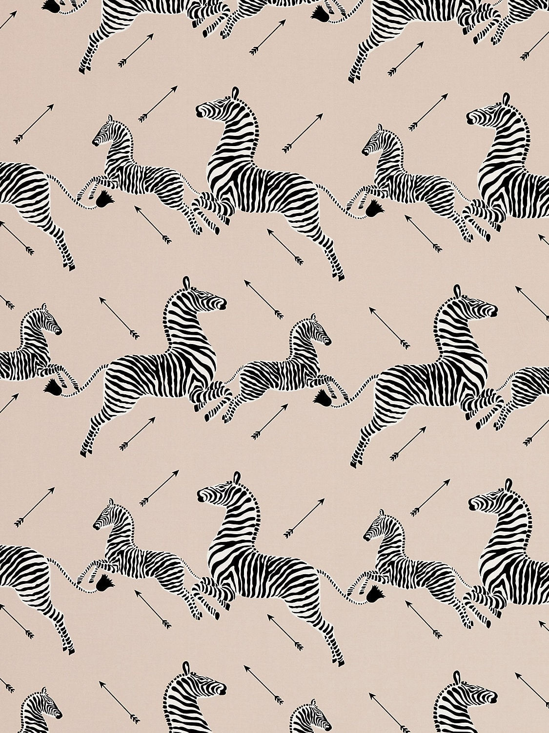 Zebras Petite Sand