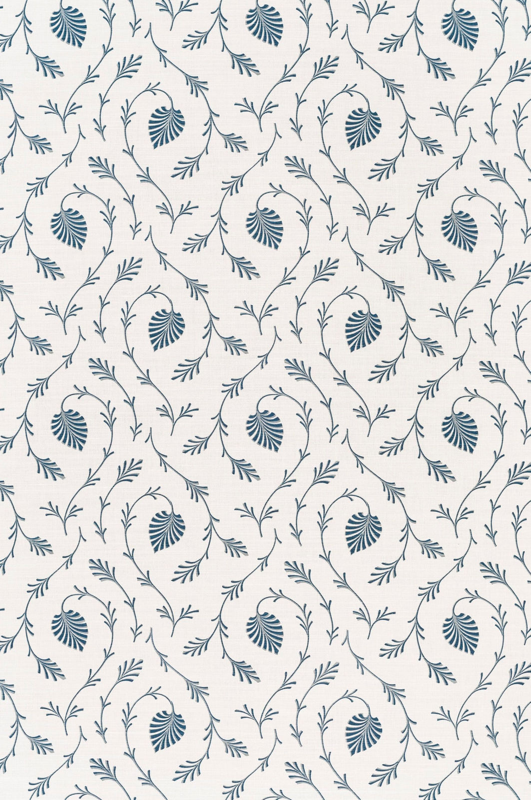 Osiris Blue On Oyster