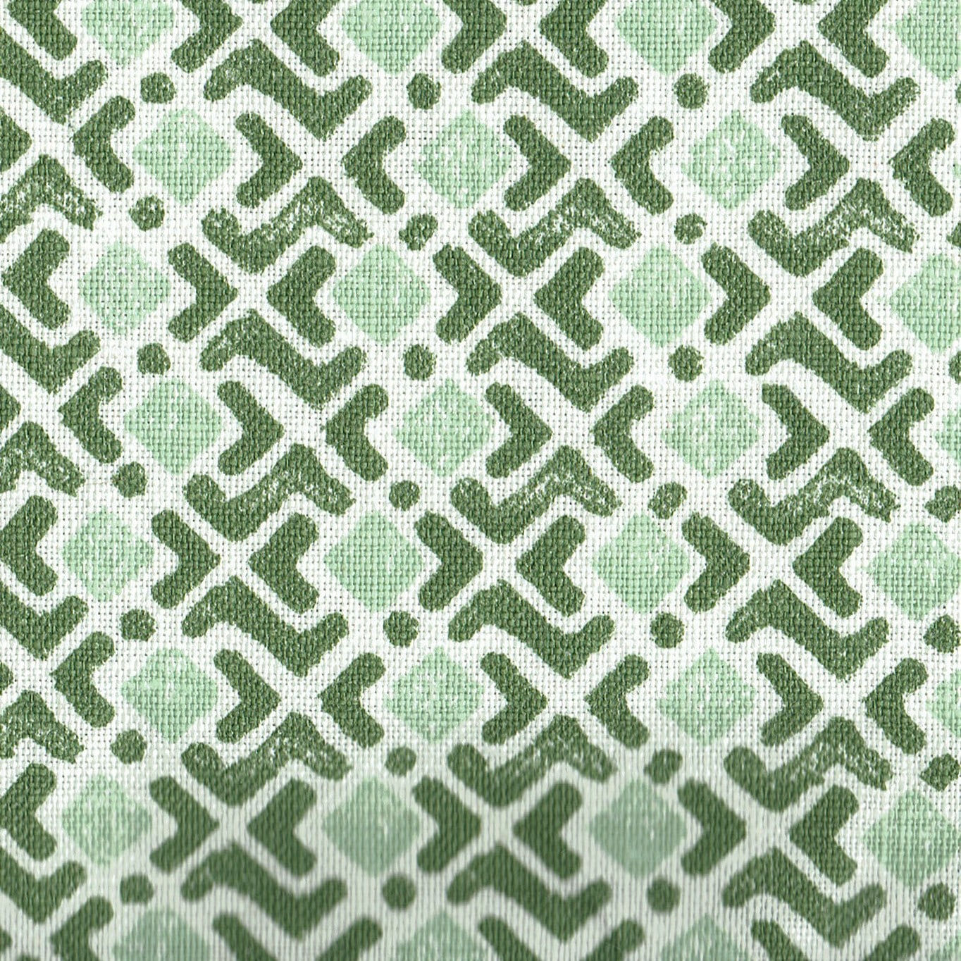 Bundi Frog’s Belly