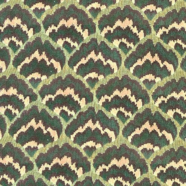 Lions Paw Suger Kelp