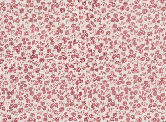 Namay Samay, Viha Plum