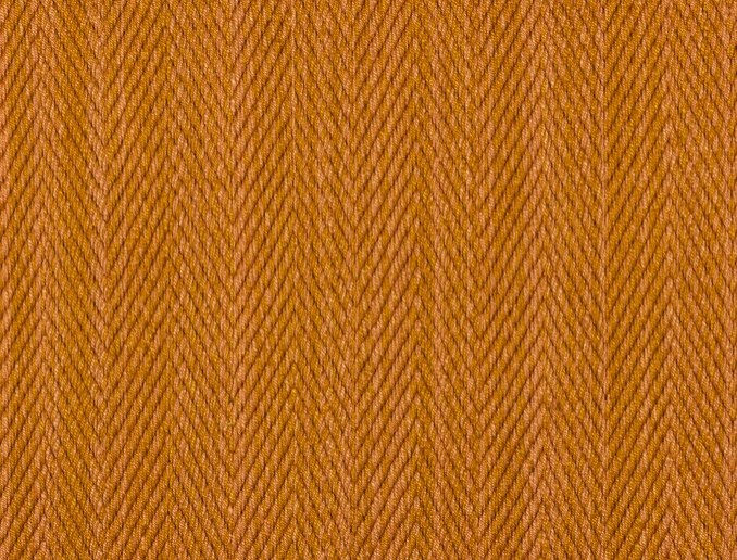 Namay Samay, Hilsa Tiger