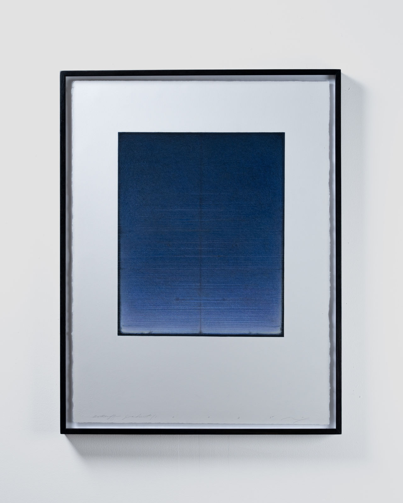 Michael Dell, Butterfly Gradient Green 2