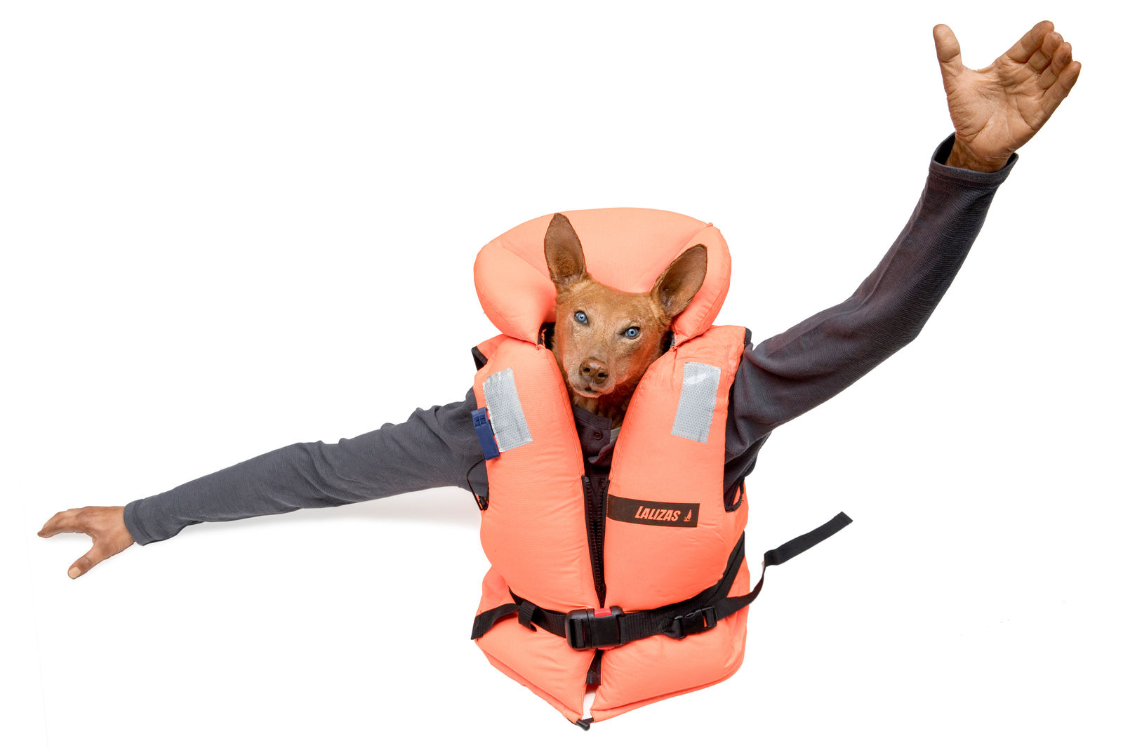 Deborah Sengl, Wer will mich?, 2019