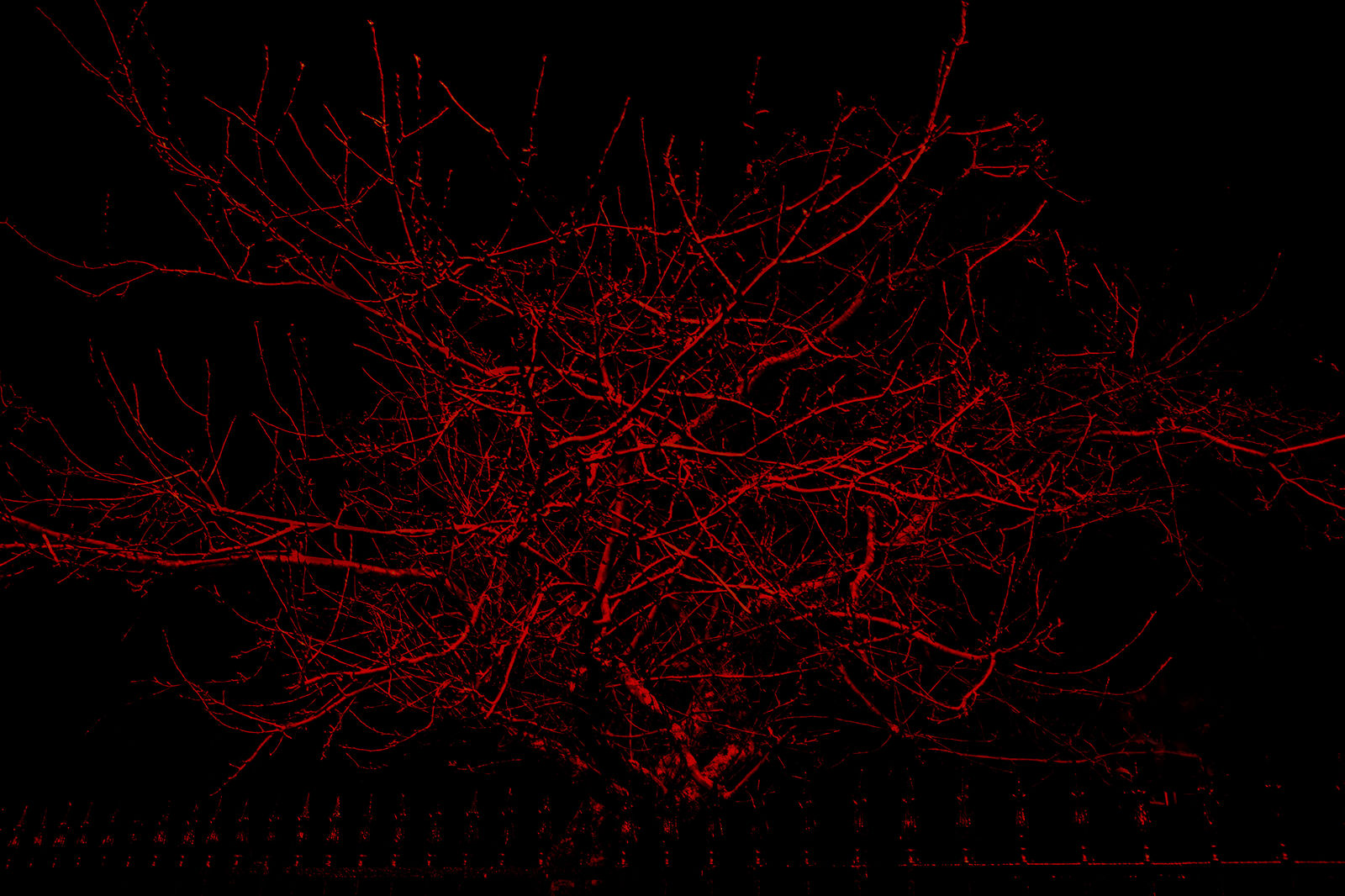 Tim van den Oudenhoven, SAFE_LIGHT 12:59 AM, 2021