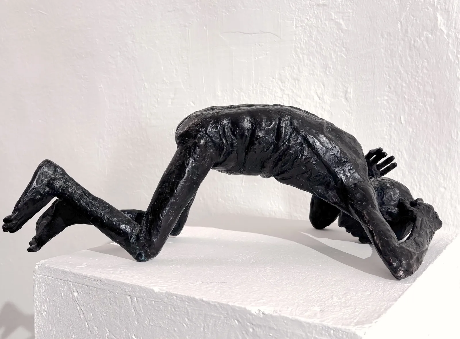 Titus Lerner, Zyklus "Kreatur sein", 1984