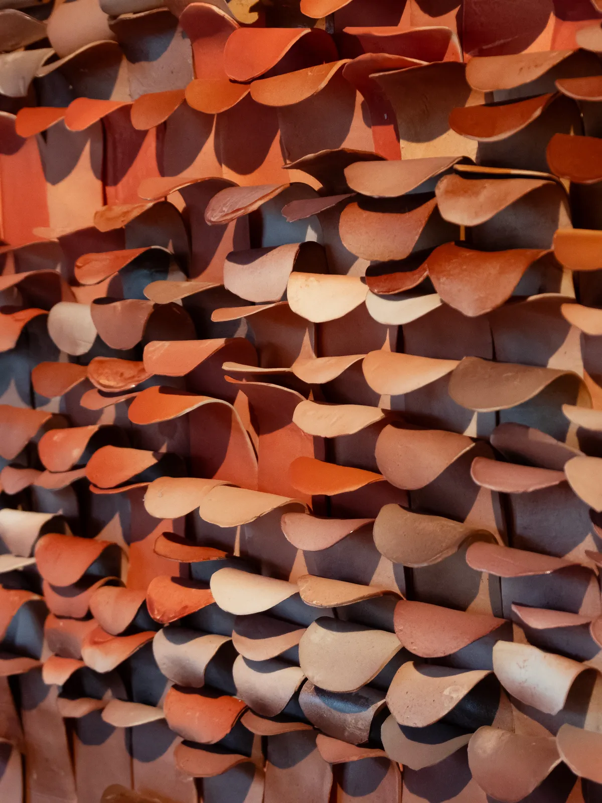 Jeanne Opgenhaffen, Echoes of Red, 2025