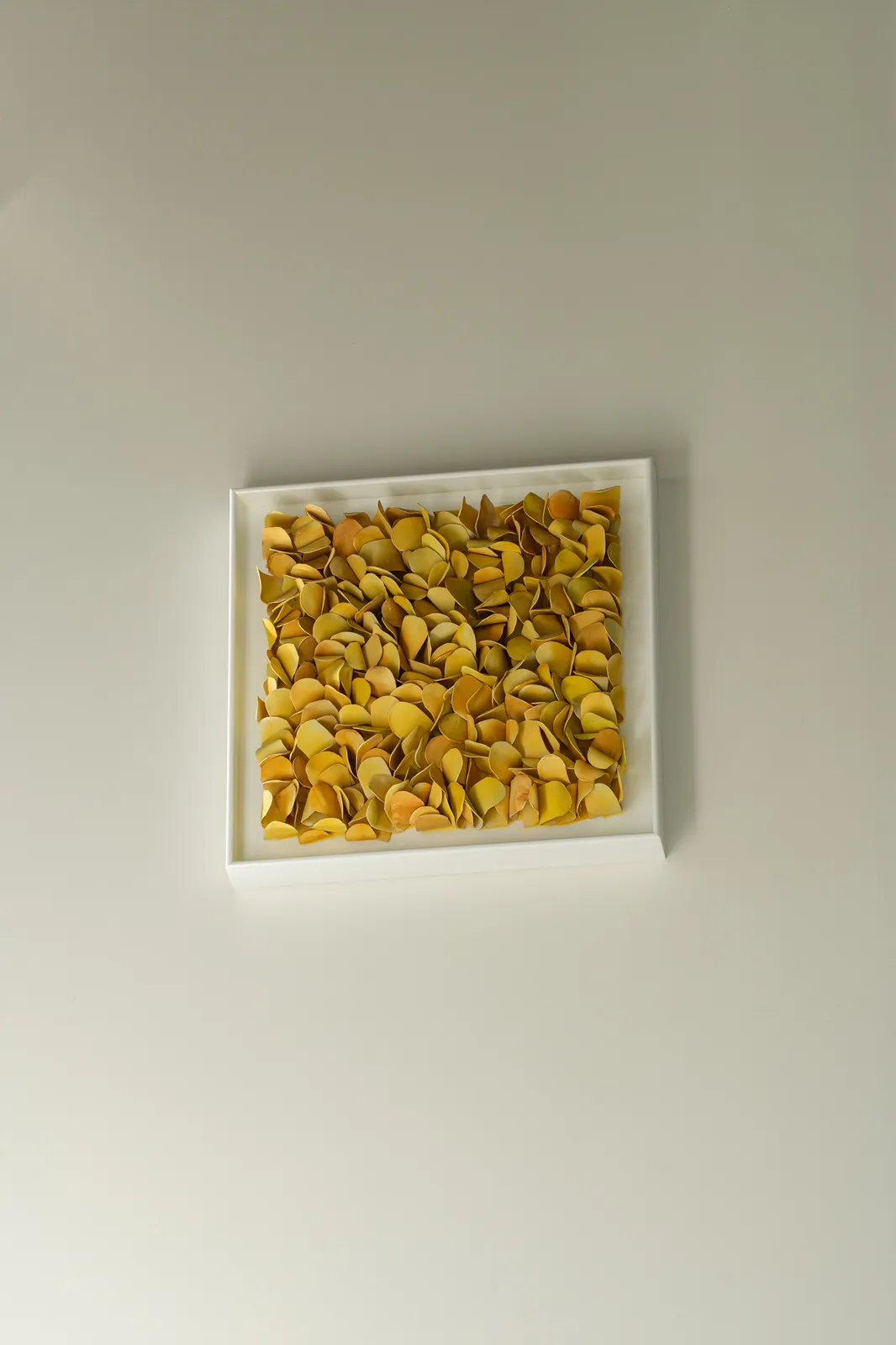 Jeanne Opgenhaffen, Endless Growing Geel