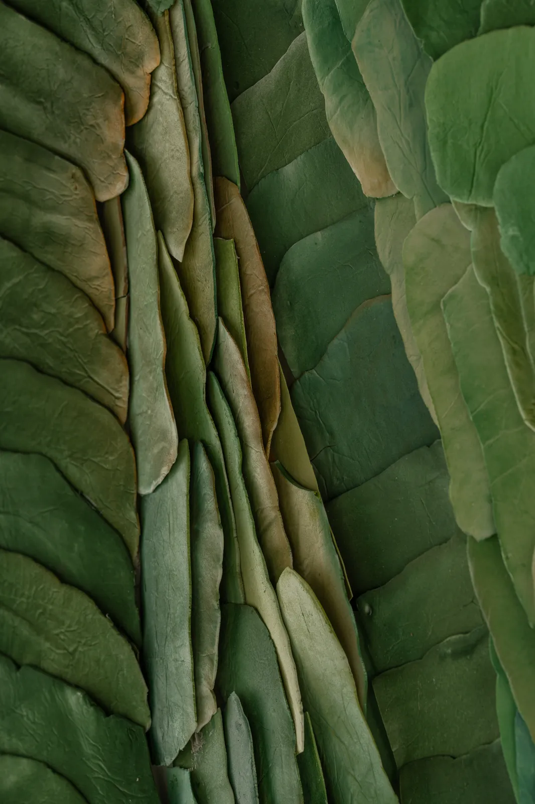 Jeanne Opgenhaffen, Green Field, 2025