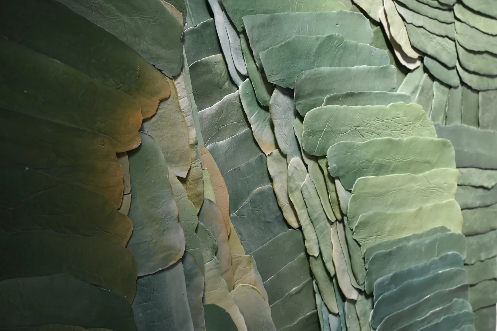 Jeanne Opgenhaffen, Green Field, 2025