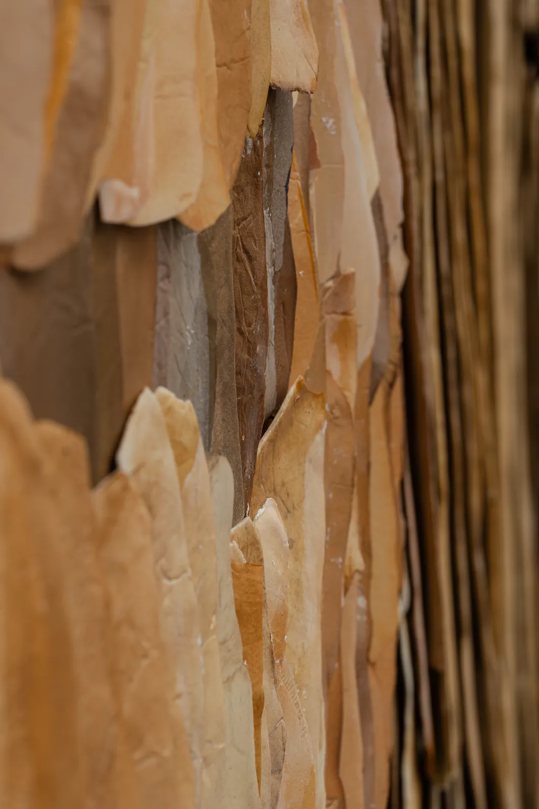 Jeanne Opgenhaffen, Desert Colors II