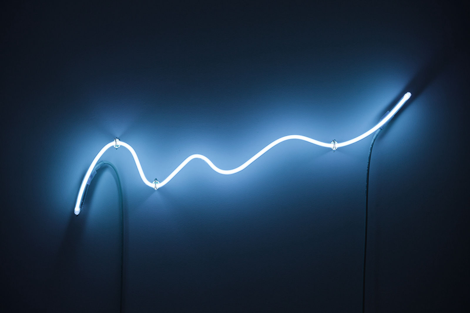 Adrien Missika - Colony Collapse Disorder