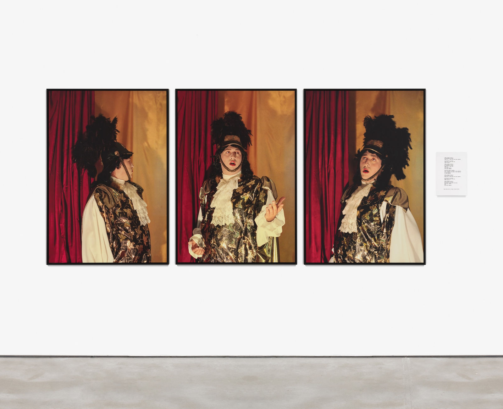 Vasco Araújo - More than a body: Idaspe (Ombra fedele anch’io)