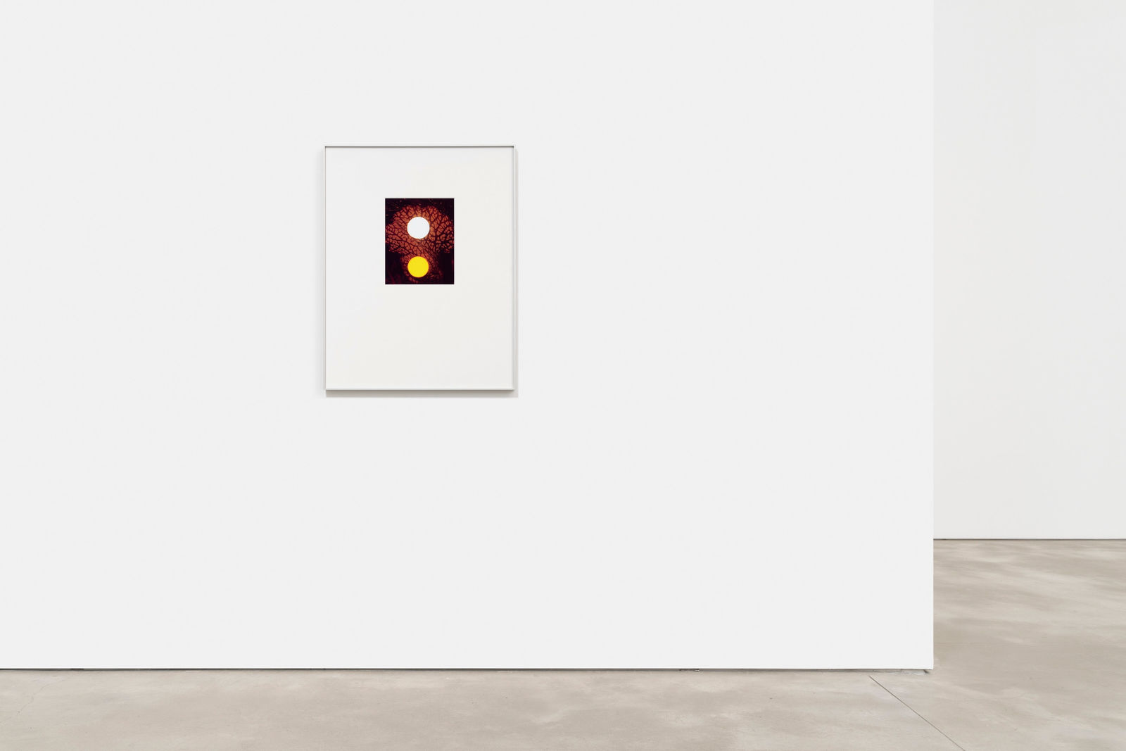 Daniela Ângelo - Bouquet for Araki