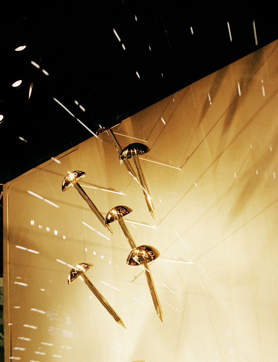 Daniela Ângelo - Untitled