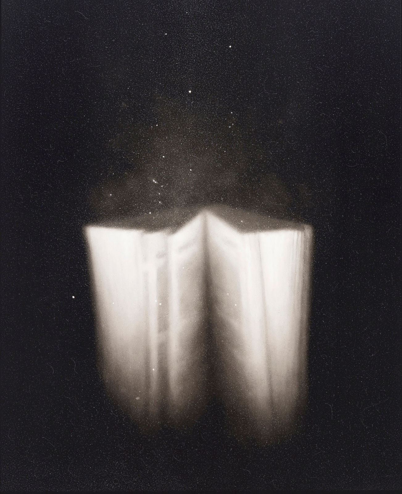 Ettore Frani, Audi Filia II, 2023