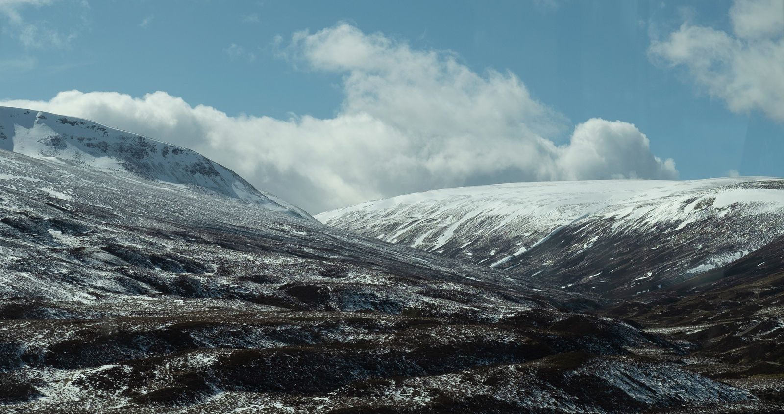 Lydia Hannah Debeer, Of Salt and Skin, 2023