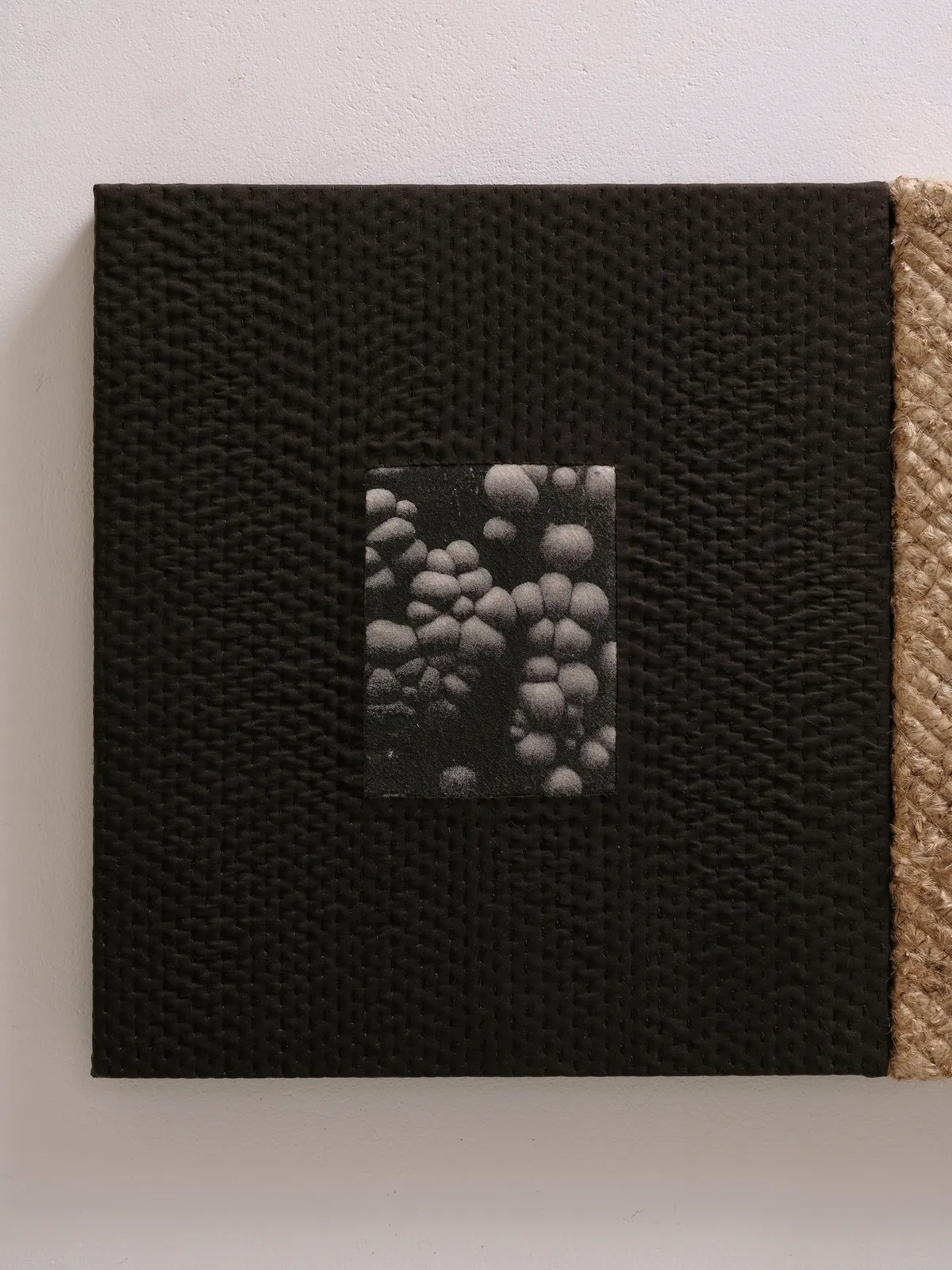 Abigail Booth, Black Glammer, 2024