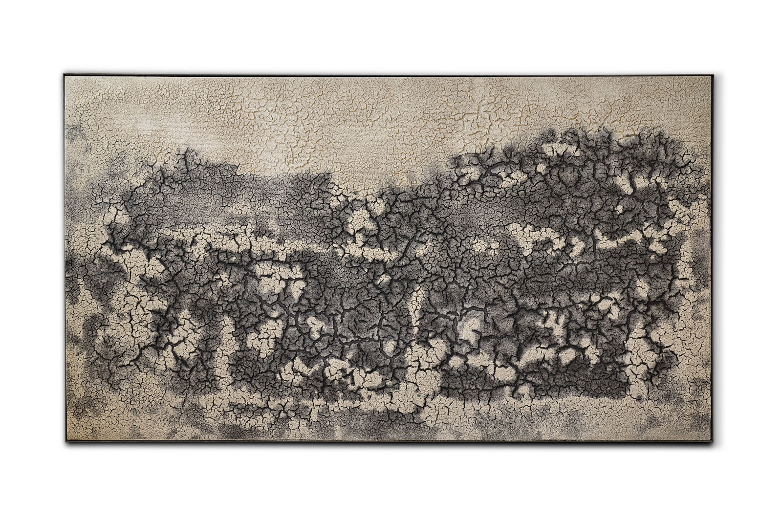 Fernando Casasempere, Salar Surire, 2024