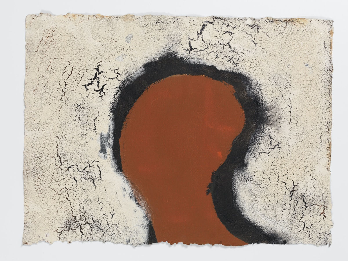 Fernando Casasempere, Salares, 2015