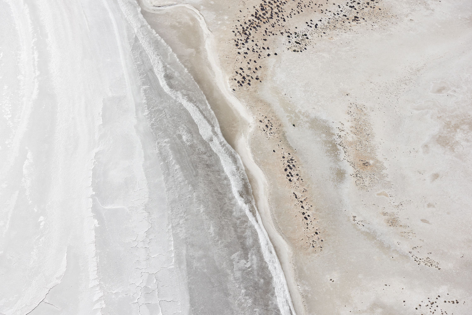 Brooke Holm, Sea Lake I, 2018