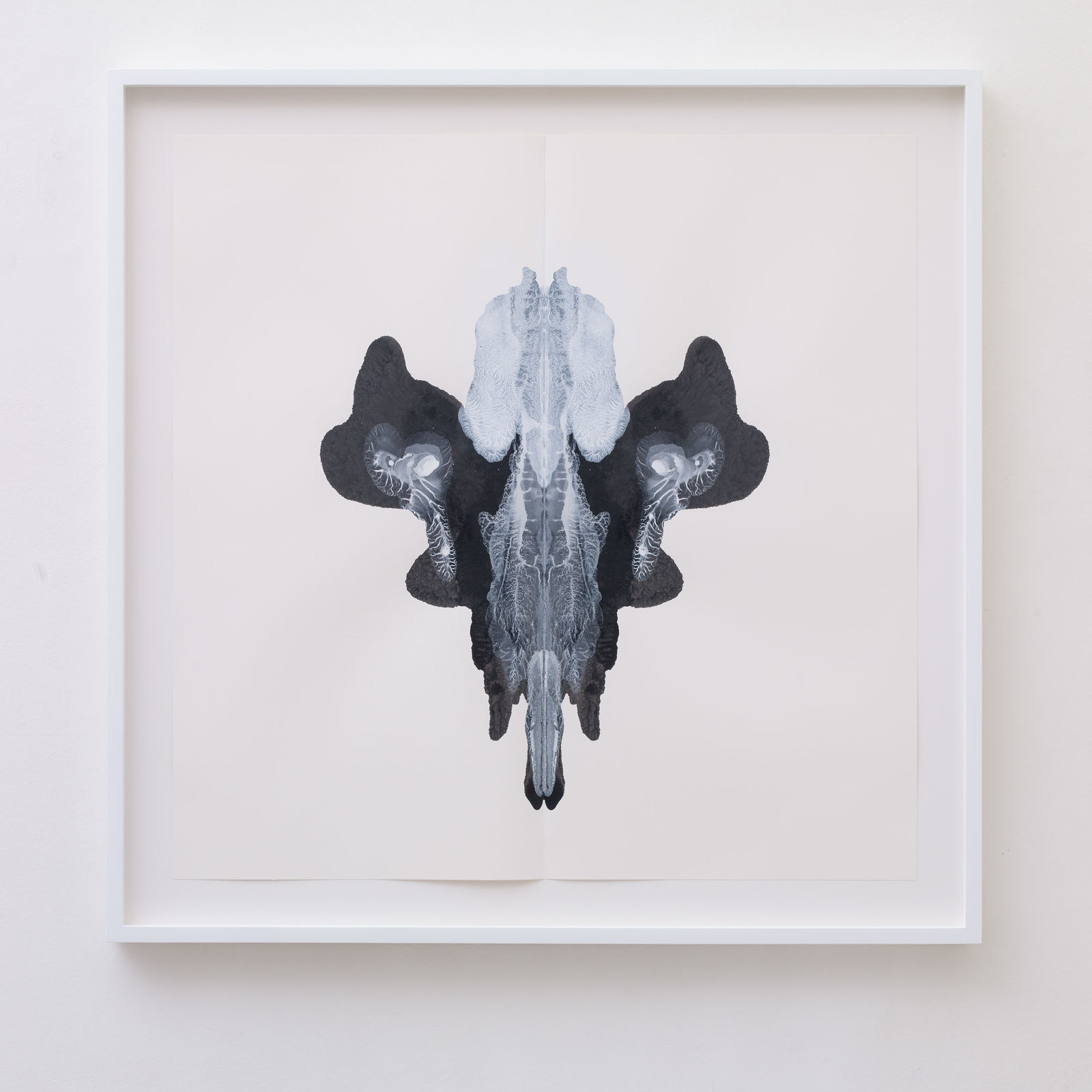 CORNELIA PARKER, Poison and Antidote Drawing, 2012