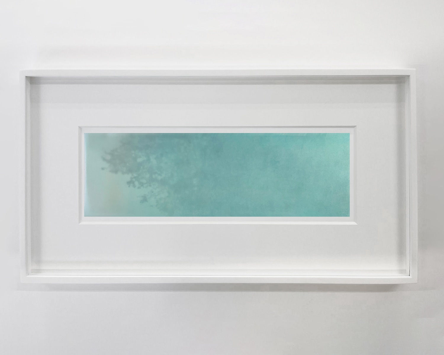 ANNA BARRIBALL, Untitled (tree, light and shadow), 2025