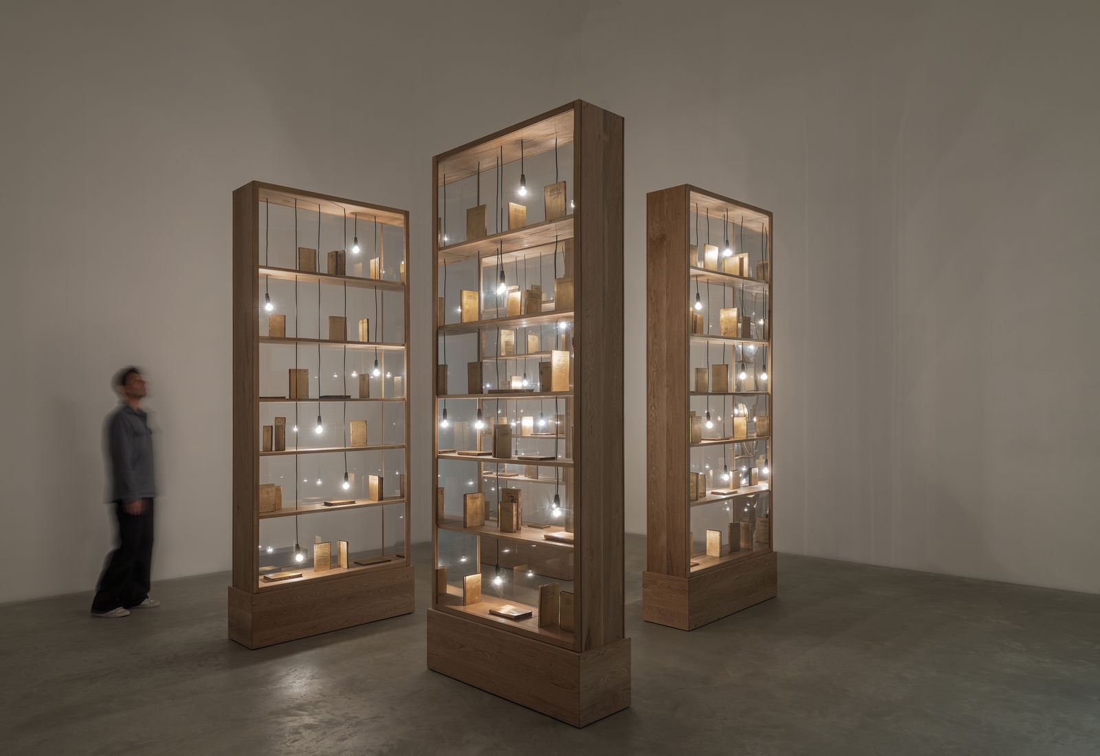 SHILPA GUPTA, I did not tell you what I saw, but only what i dreamt, 2023