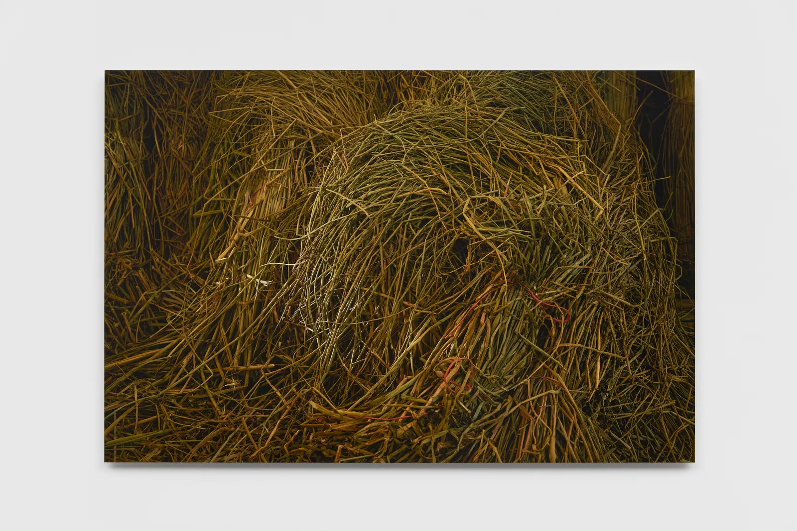 BRIDGET SMITH, Harvest I–III, 2022