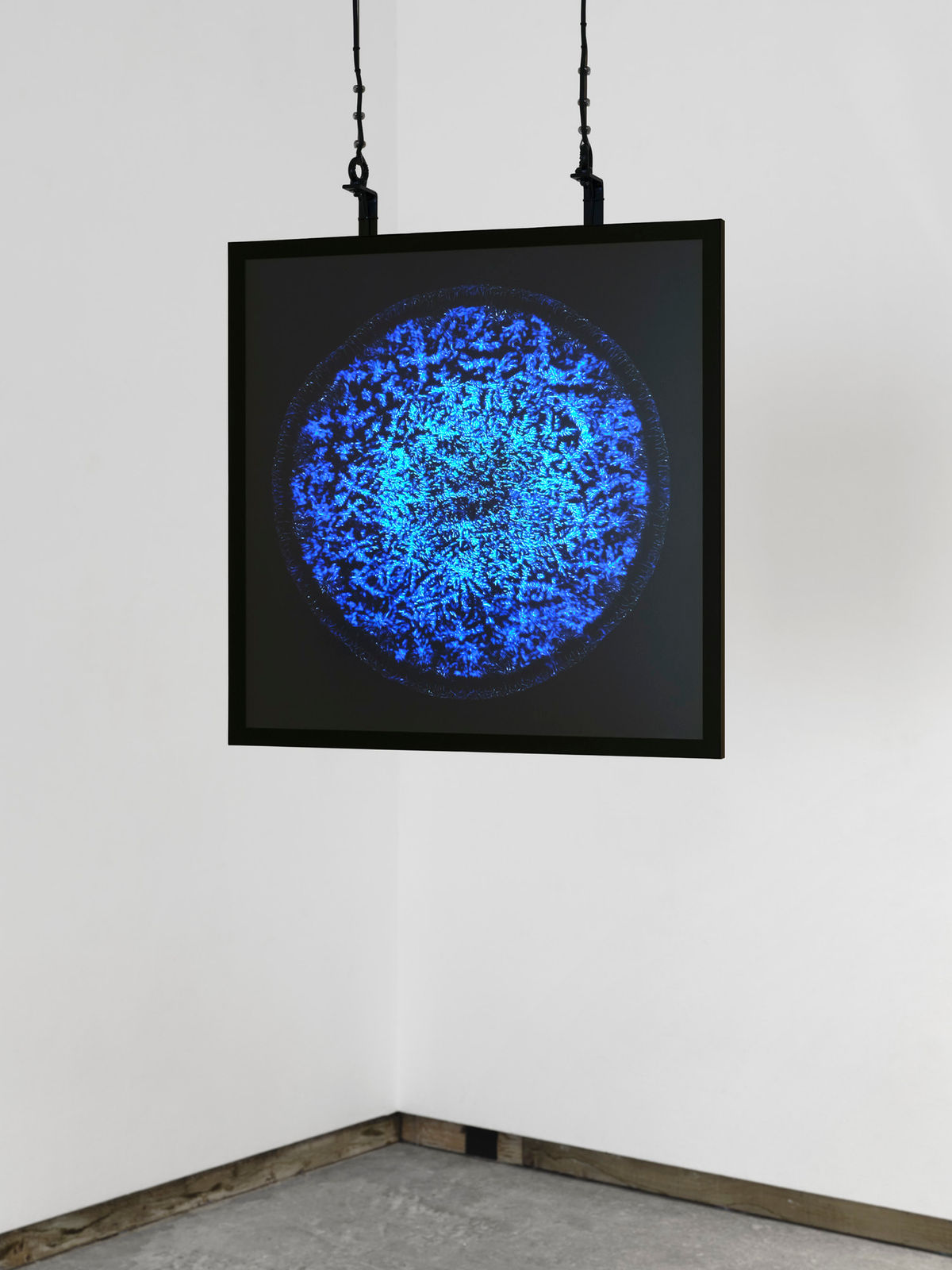 RAQS MEDIA COLLECTIVE, Tears (are not only from weeping), 2021